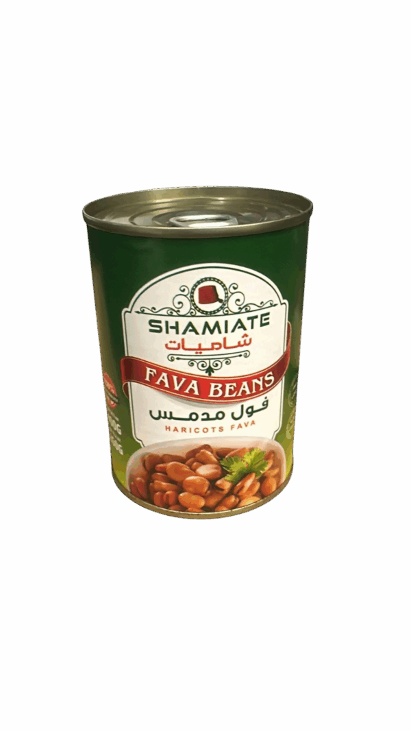 فول مدمس
